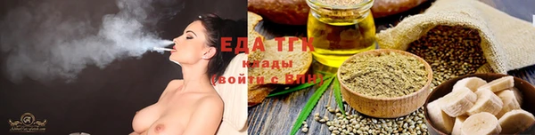 мдпв Дмитров