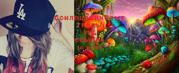 мдпв Дмитров