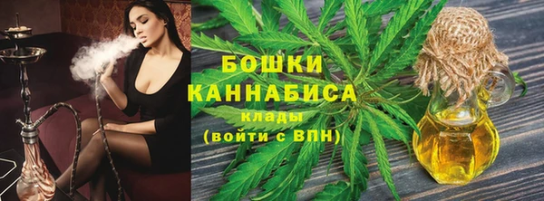 мдпв Дмитров