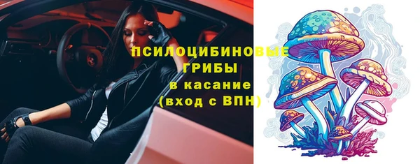мдпв Дмитров