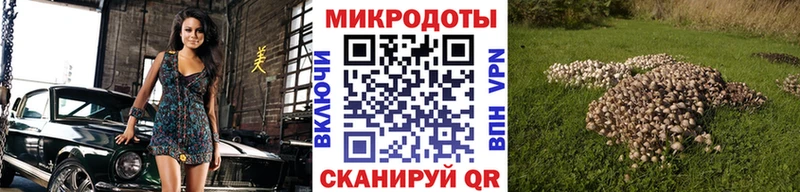 Псилоцибиновые грибы Psilocybine cubensis  Купить  Магас 