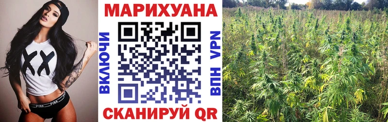 Марихуана марихуана  Купить  Магас 